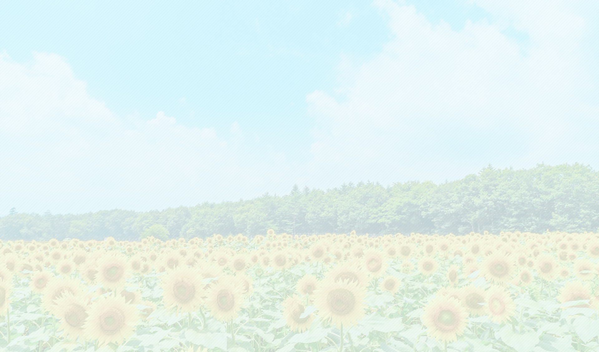 季節のイメージ(夏)